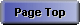 Page Top